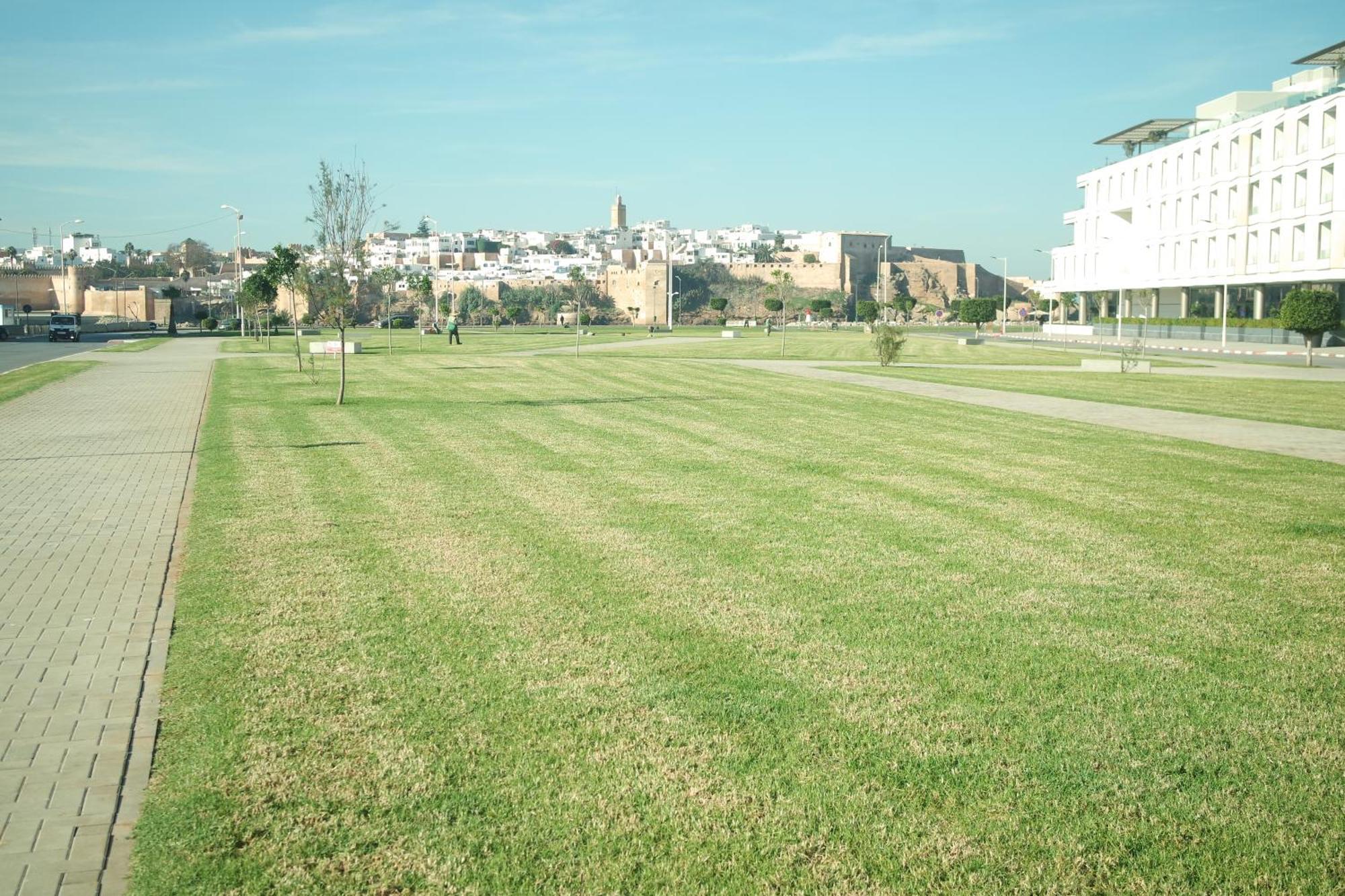 Luxe Serein En Marina Salé Exterior foto